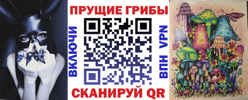 mega ONION  наркошоп  Торопец  Галлюциногенные грибы Magic Shrooms 