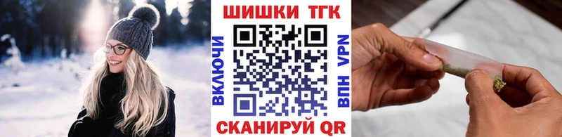 Бошки Шишки план  цены   Торопец 